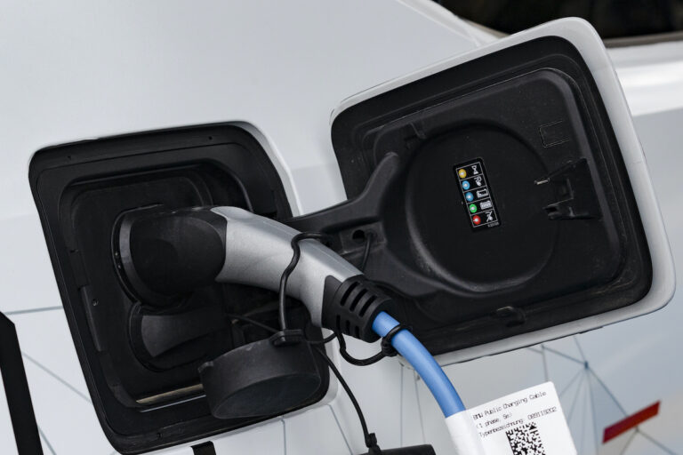 Are EVs the future or merely a niche market?
