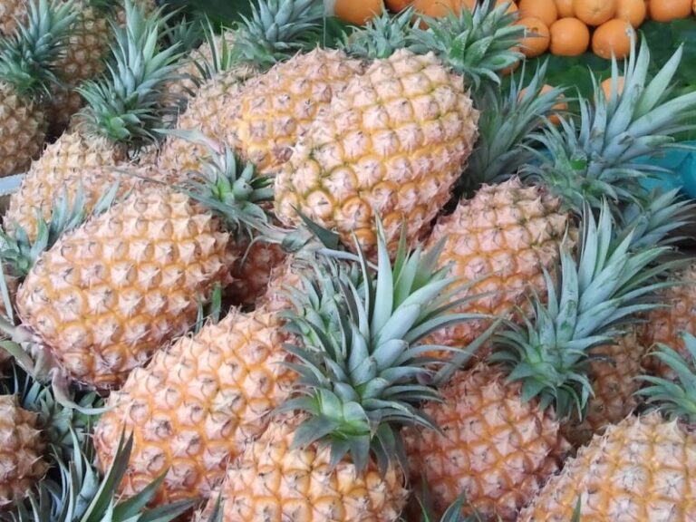 Taiwan pineapples headed for New Zealand